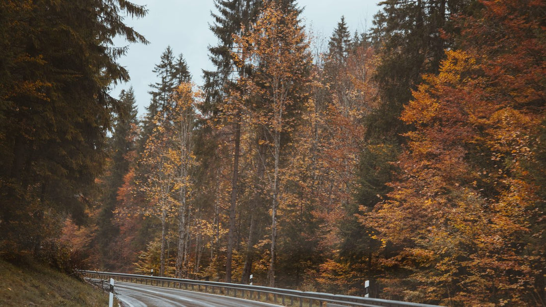Schöngeising Taxi bestellen zum Flughafen München – Landstraße durch das herbstliche Ampertal